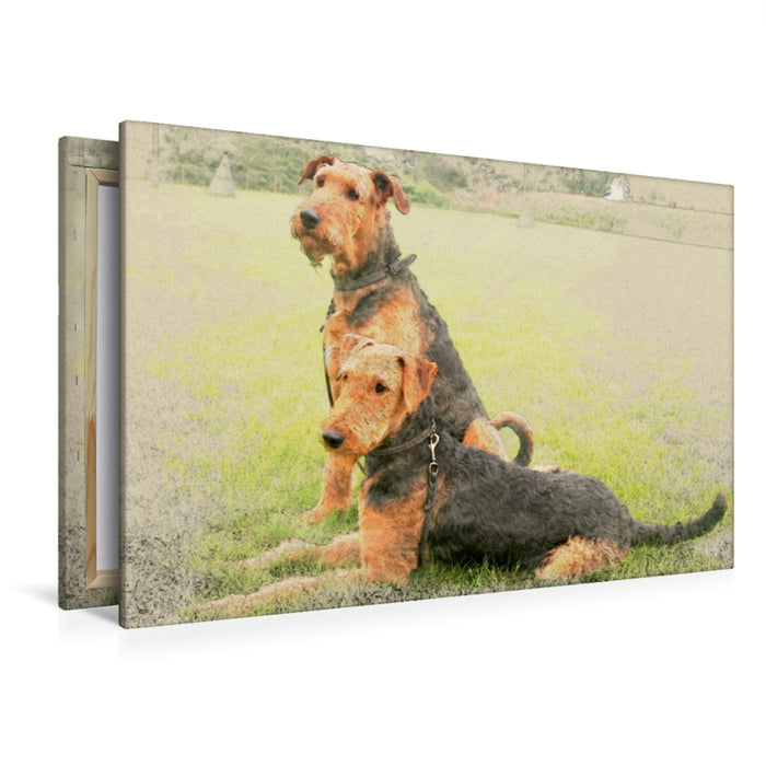 Premium Textil-Leinwand Premium Textil-Leinwand 120 cm x 80 cm quer Ein Motiv aus dem Kalender Airedale Terrier 2017