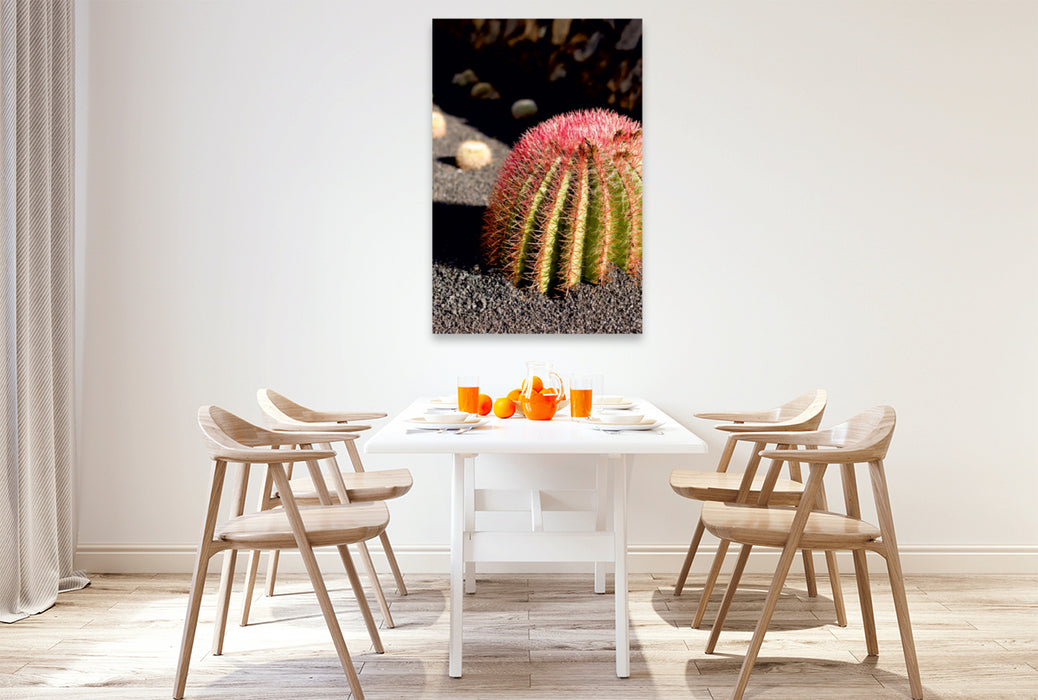Toile textile premium Toile textile premium 80 cm x 120 cm de haut Cactus affamé de soleil avec de jolies épines rouges 