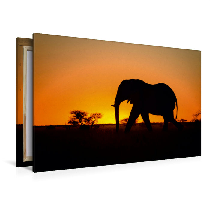 Premium Textil-Leinwand Premium Textil-Leinwand 120 cm x 80 cm quer Elefant