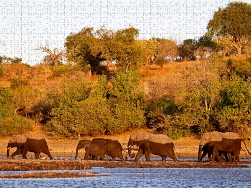 Elefanten am Fluss, Afrika - CALVENDO Foto-Puzzle - calvendoverlag 29.99