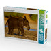 Junger Elefant in Botswana - CALVENDO Foto-Puzzle - calvendoverlag 29.99