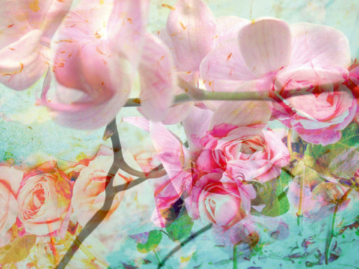 Rosen und Orchideen - CALVENDO Foto-Puzzle - calvendoverlag 29.99