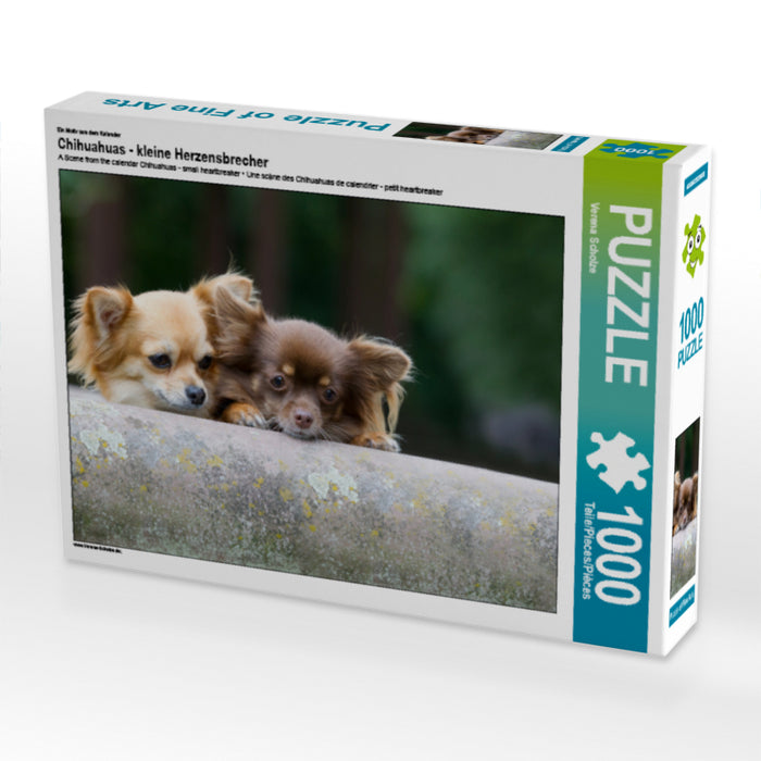 Chihuahuas - kleine Herzensbrecher - CALVENDO Foto-Puzzle - calvendoverlag 29.99