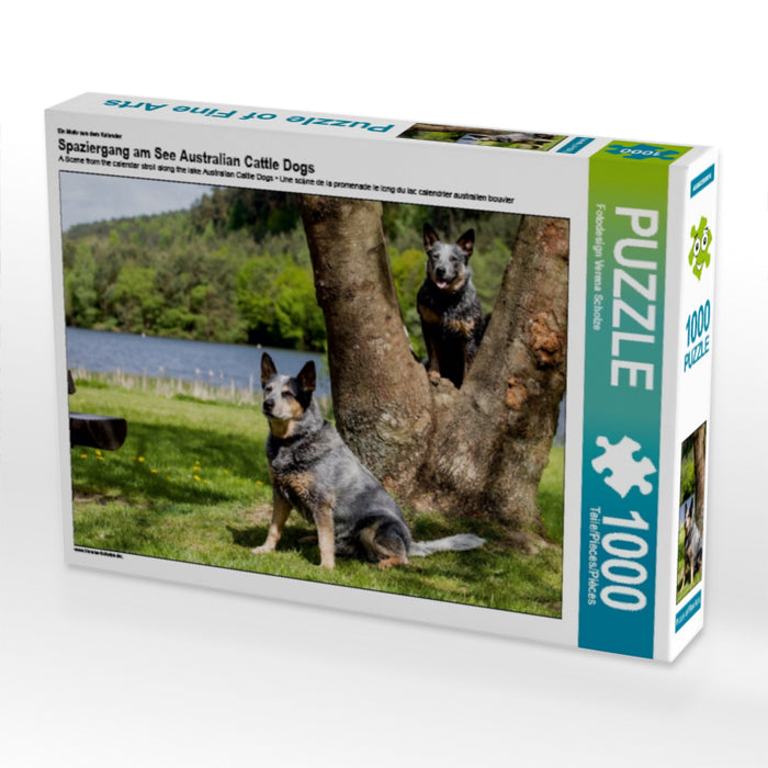 Spaziergang am See Australian Cattle Dogs - CALVENDO Foto-Puzzle - calvendoverlag 29.99