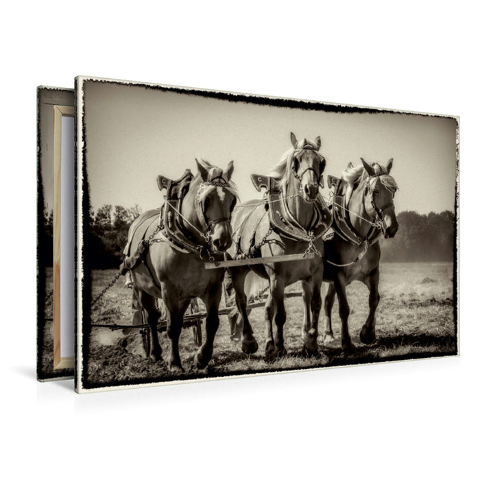 Toile textile premium Toile textile premium 120 cm x 80 cm paysage Labour avec trois chevaux 