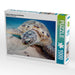 Portrait Unterwasserschildkröte - CALVENDO Foto-Puzzle - calvendoverlag 29.99