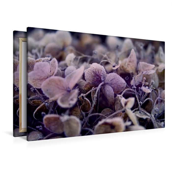 Premium Textil-Leinwand Premium Textil-Leinwand 120 cm x 80 cm quer Frost auf getrockneten Blüten