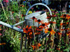 Blick in den Garten - CALVENDO Foto-Puzzle - calvendoverlag 29.99