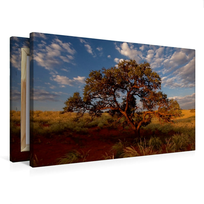 Premium Textil-Leinwand Premium Textil-Leinwand 75 cm x 50 cm quer Namib rand nature reserve