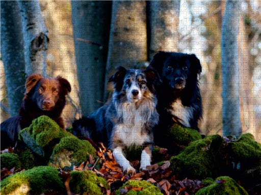 Das Dreigestirn - CALVENDO Foto-Puzzle - calvendoverlag 32.99