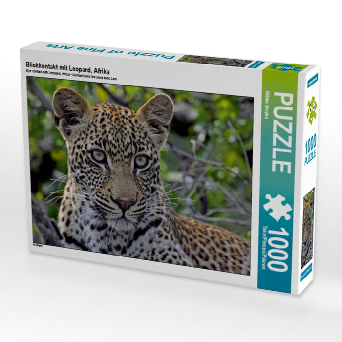Blickkontakt mit Leopard, Afrika - CALVENDO Foto-Puzzle - calvendoverlag 29.99