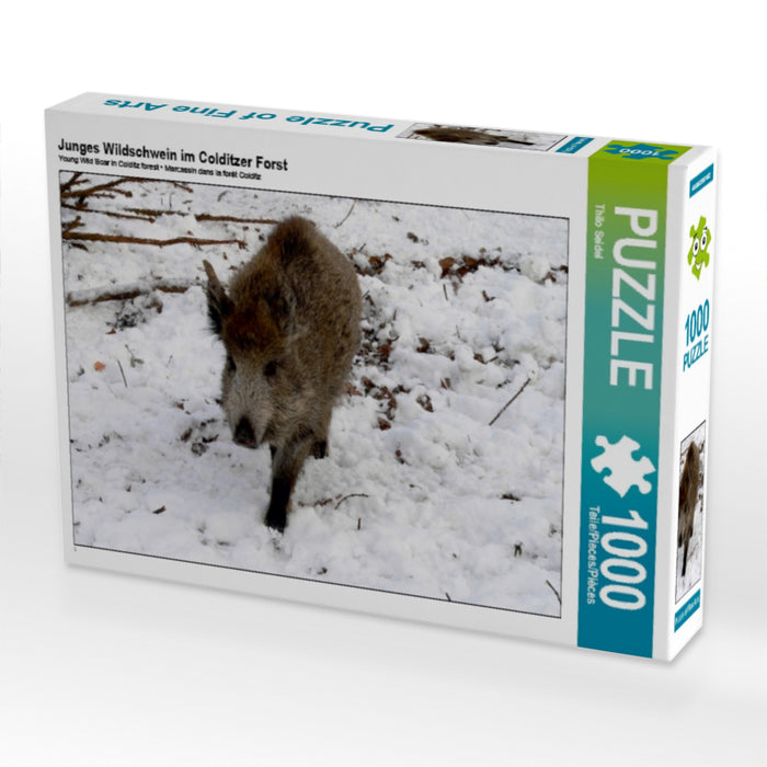 Junges Wildschwein im Colditzer Forst - CALVENDO Foto-Puzzle - calvendoverlag 29.99