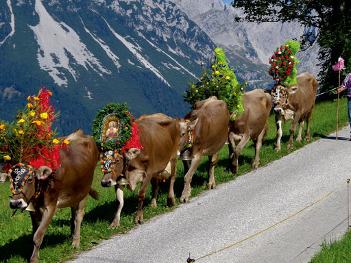 Der Schluss des Zuges kommt vorbei - CALVENDO Foto-Puzzle - calvendoverlag 29.99