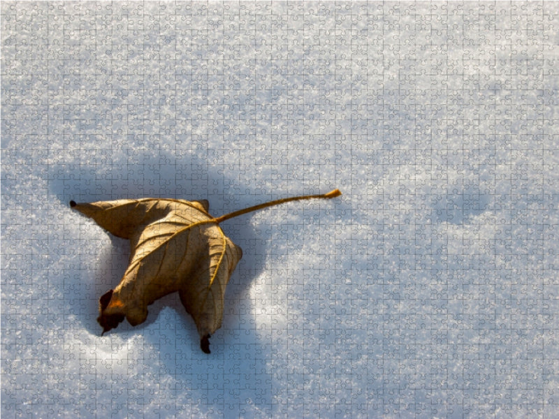 Verdorrtes Blatt im Schnee - CALVENDO Foto-Puzzle - calvendoverlag 29.99