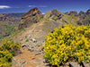 Bergwelt Pico Arreiro - CALVENDO Foto-Puzzle - calvendoverlag 29.99