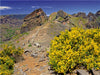 Bergwelt Pico Arreiro - CALVENDO Foto-Puzzle - calvendoverlag 29.99