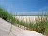 Düne mit Strandgras - CALVENDO Foto-Puzzle - calvendoverlag 29.99