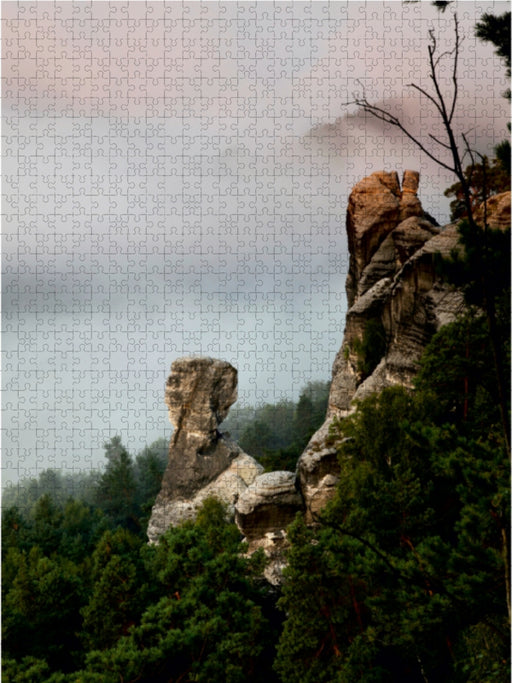 Nebelspiel - Nationalpark Sächsische Schweiz - CALVENDO Foto-Puzzle - calvendoverlag 39.99
