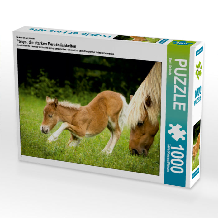 Ponys, die starken Persönlichkeiten - CALVENDO Foto-Puzzle - calvendoverlag 29.99