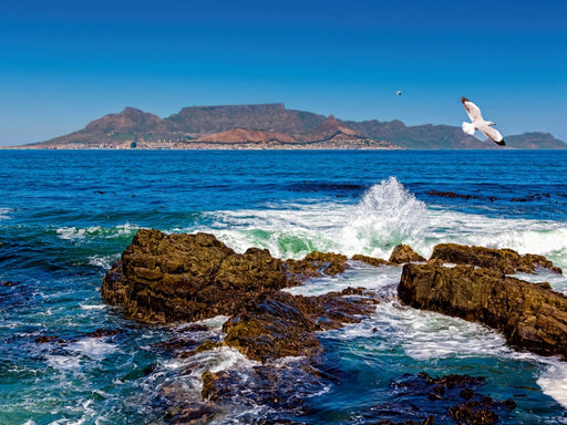 Robben Island - CALVENDO Foto-Puzzle - calvendoverlag 29.99