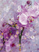 Verspielte Romantische Rosa Orchidee - CALVENDO Foto-Puzzle - calvendoverlag 29.99