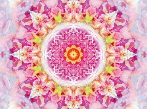 Blüten Mandala Rosa - CALVENDO Foto-Puzzle - calvendoverlag 29.99