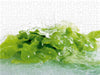 Frischer Salat - CALVENDO Foto-Puzzle - calvendoverlag 29.99