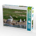 Pelikan - CALVENDO Foto-Puzzle - calvendoverlag 29.99