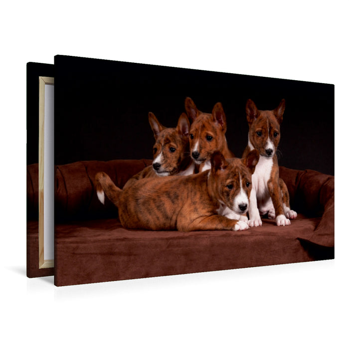 Premium Textil-Leinwand Premium Textil-Leinwand 120 cm x 80 cm quer Ein Motiv aus dem Kalender Süße Basenji-Kinder