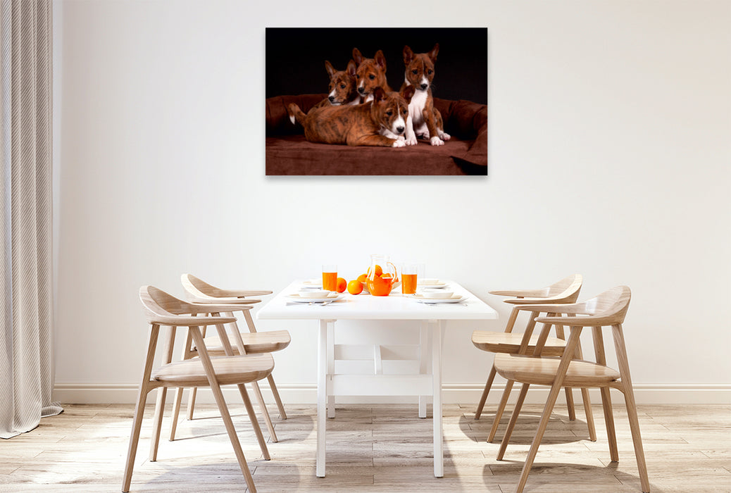 Premium Textil-Leinwand Premium Textil-Leinwand 120 cm x 80 cm quer Ein Motiv aus dem Kalender Süße Basenji-Kinder