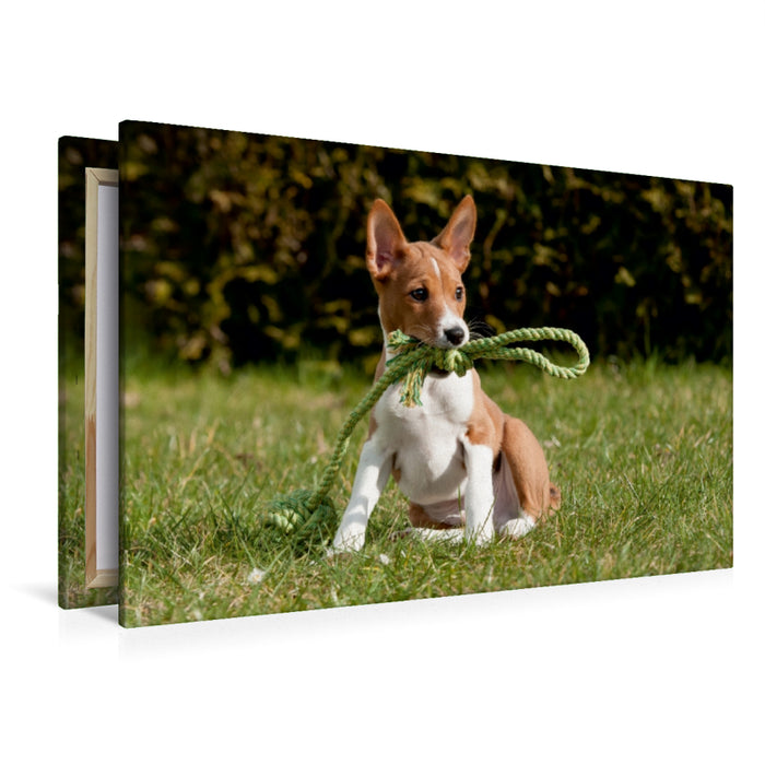 Premium Textil-Leinwand Premium Textil-Leinwand 120 cm x 80 cm quer Ein Motiv aus dem Kalender Süße Basenji-Kinder