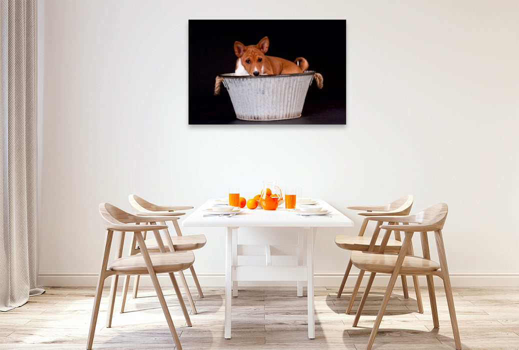 Premium Textil-Leinwand Premium Textil-Leinwand 120 cm x 80 cm quer Ein Motiv aus dem Kalender Süße Basenji-Kinder