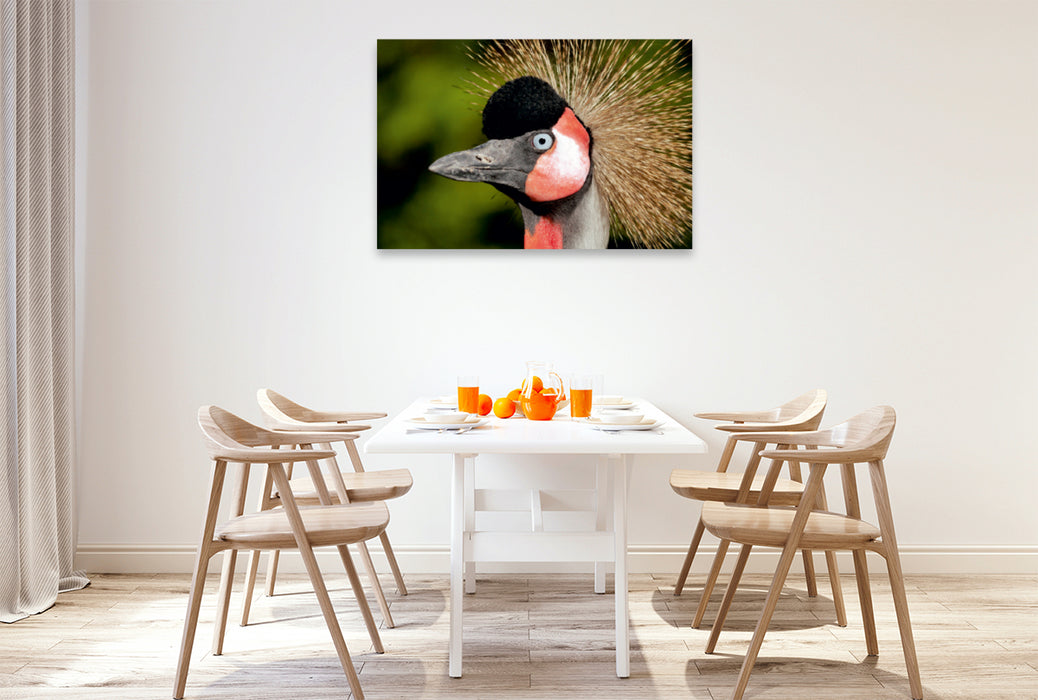 Premium Textil-Leinwand Premium Textil-Leinwand 120 cm x 80 cm quer Ein Motiv aus dem Kalender Weltvogelpark Walsrode - Die Vielfalt der Vogelarten