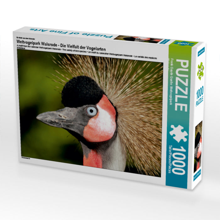 Weltvogelpark Walsrode - Die Vielfalt der Vogelarten - CALVENDO Foto-Puzzle - calvendoverlag 29.99
