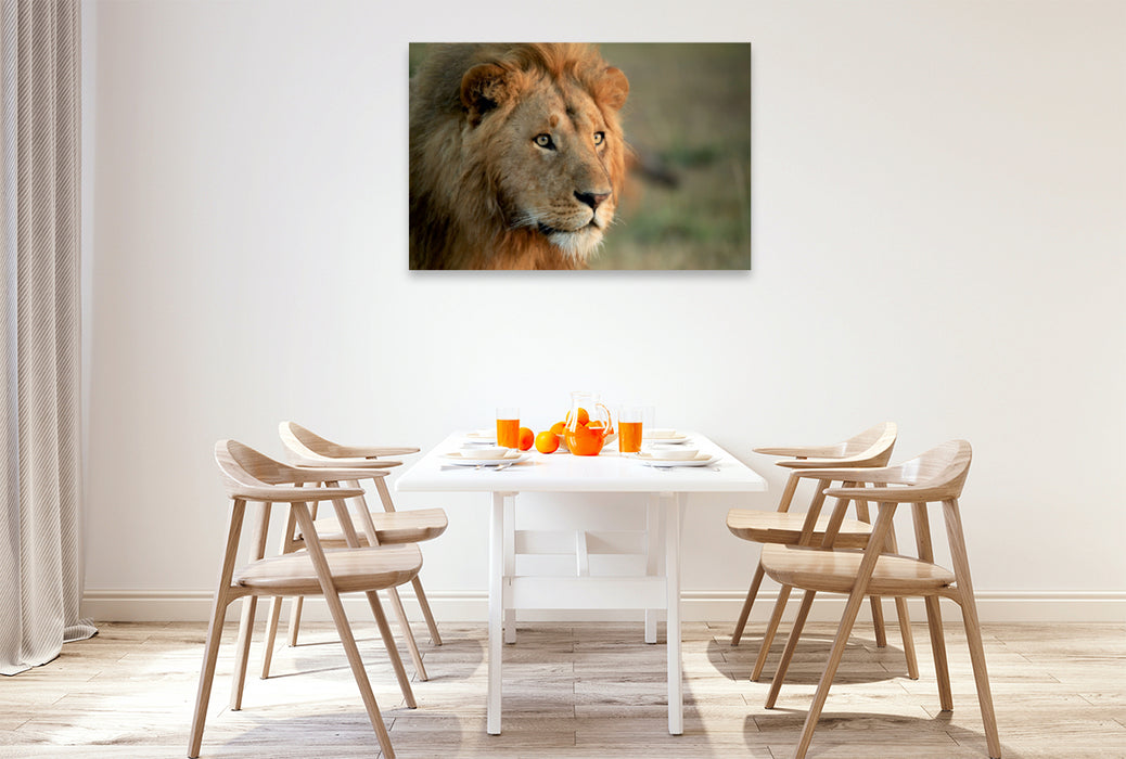 Premium Textil-Leinwand Premium Textil-Leinwand 120 cm x 80 cm quer Ein Motiv aus dem Kalender Wildtierparadies Afrika - Eine Foto-Reise durch die Savannen