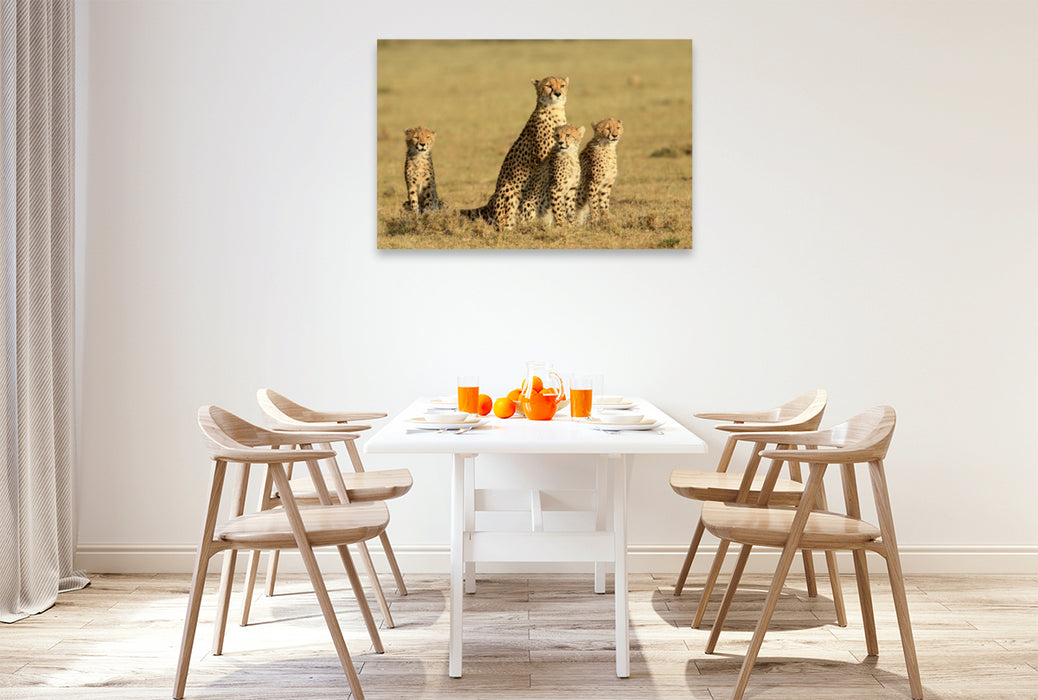 Premium Textil-Leinwand Premium Textil-Leinwand 120 cm x 80 cm quer Ein Motiv aus dem Kalender Wildtierparadies Afrika - Eine Foto-Reise durch die Savannen