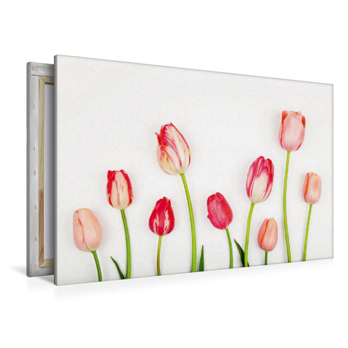 Premium Textil-Leinwand Premium Textil-Leinwand 120 cm x 80 cm quer Verliebt in rosa-rote Tulpen