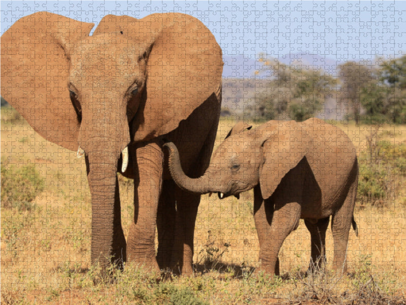 Elefanten - Kinderliebe - CALVENDO Foto-Puzzle - calvendoverlag 29.99