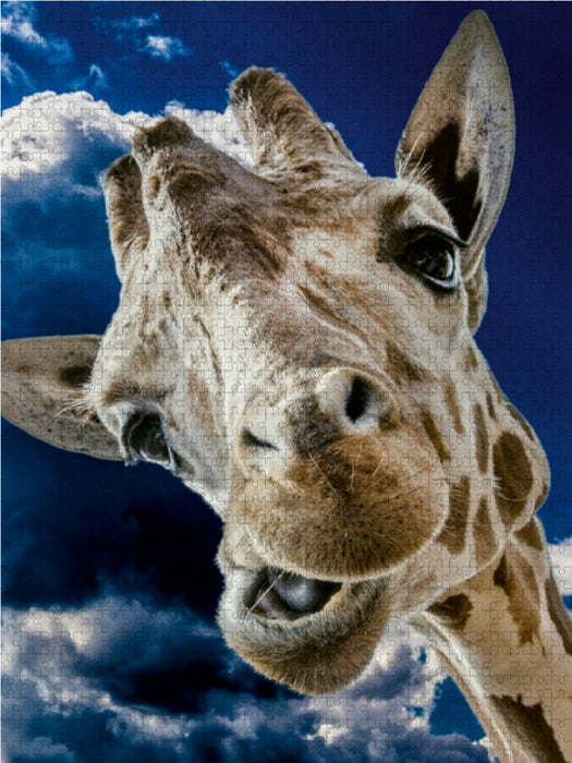 Giraffe - CALVENDO Foto-Puzzle - calvendoverlag 29.99