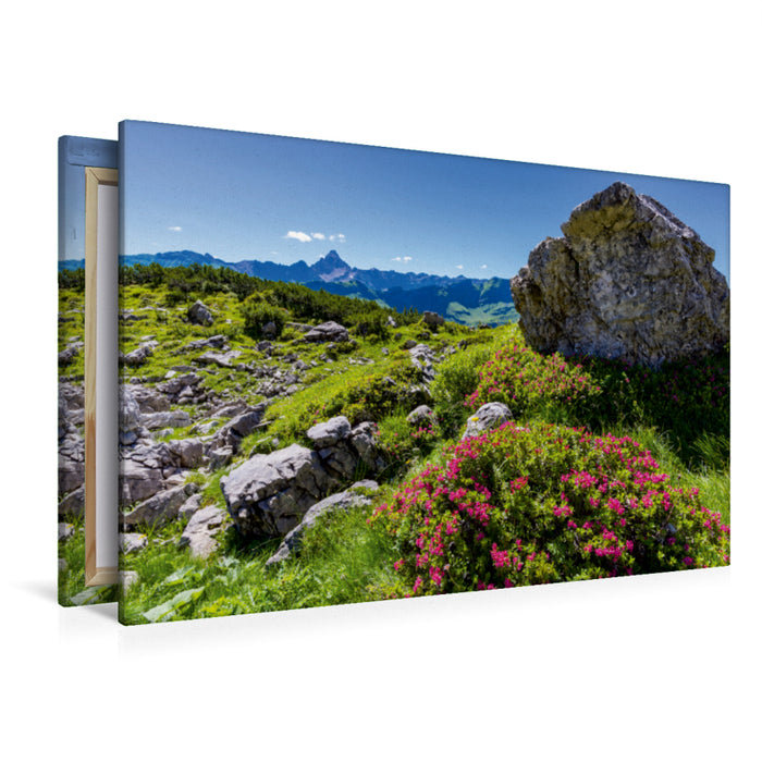 Premium Textil-Leinwand Premium Textil-Leinwand 120 cm x 80 cm quer Alpenrosenblüte am Nebelhorn