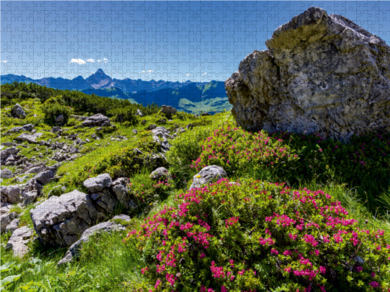 Alpenrosenblüte am Nebelhorn - CALVENDO Foto-Puzzle - calvendoverlag 29.99