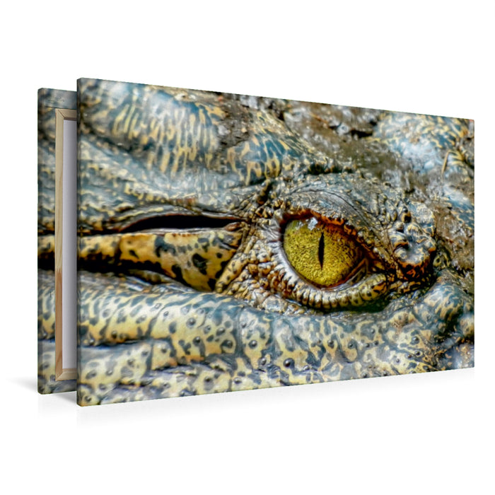 Premium Textil-Leinwand Premium Textil-Leinwand 120 cm x 80 cm quer Urzeitreptilien - Krokodil