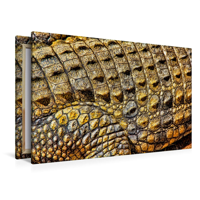 Premium Textil-Leinwand Premium Textil-Leinwand 120 cm x 80 cm quer Urzeitreptilien - Krokodil