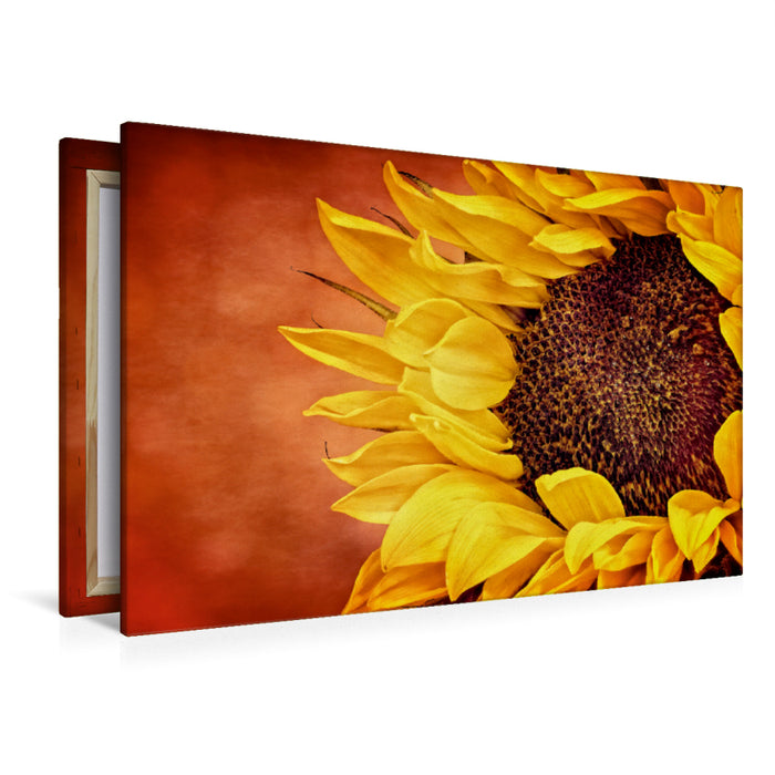 Premium Textil-Leinwand Premium Textil-Leinwand 120 cm x 80 cm quer Sunflower