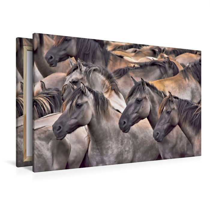 Toile textile premium Toile textile premium 120 cm x 80 cm paysage chevaux de rêve 