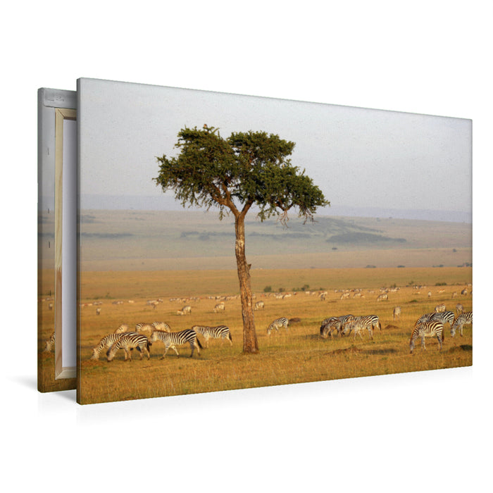 Premium Textil-Leinwand Premium Textil-Leinwand 120 cm x 80 cm quer Masai Mara NP, Kenia