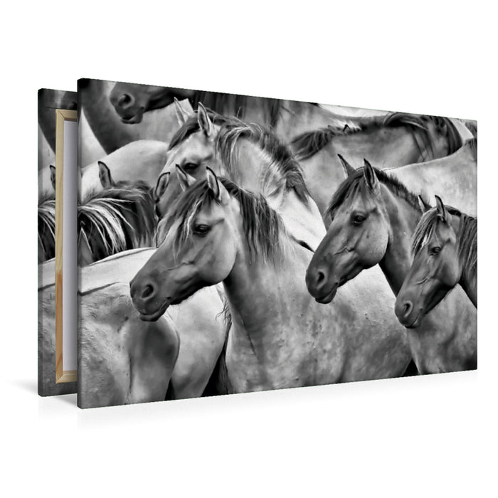 Toile textile premium Toile textile premium 120 cm x 80 cm paysage chevaux de rêve 