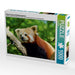 Kleiner Panda auf Entdeckungstour - CALVENDO Foto-Puzzle - calvendoverlag 29.99