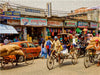 Fahrradrikschas in den Straßen von Pokhara - CALVENDO Foto-Puzzle - calvendoverlag 29.99