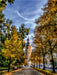Der Leipziger Turm im Herbst - CALVENDO Foto-Puzzle - calvendoverlag 29.99